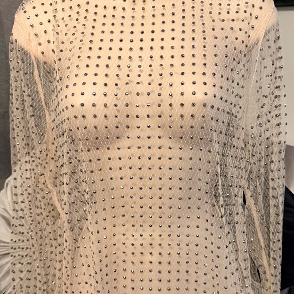 Sheer Rhinestone Embellished Top